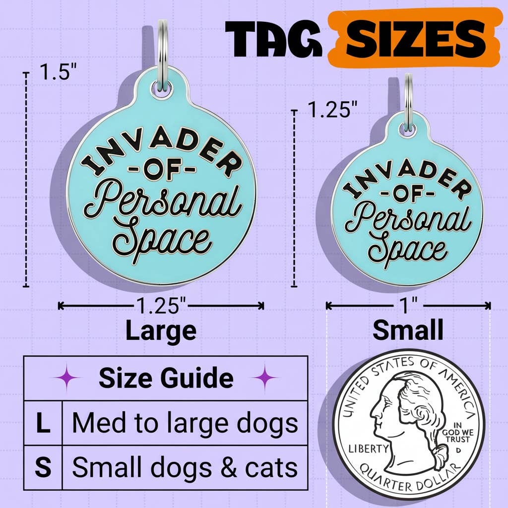Funny Dog Charm & Pet ID Tag - Invader Personal Space *Blue: Collar Charm (backside blank) / Large 1.25"