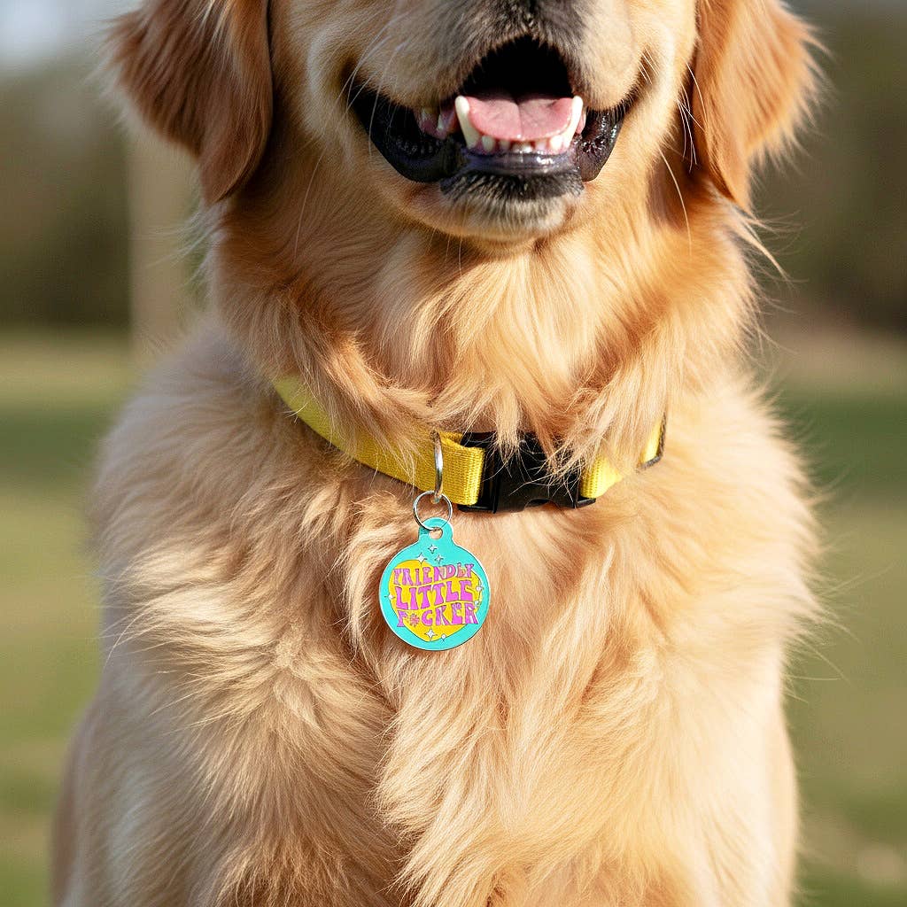 Funny Dog Charm & Pet ID Tag - Friendly Little F*cker: Collar Charm (blank backside) / Small 1"