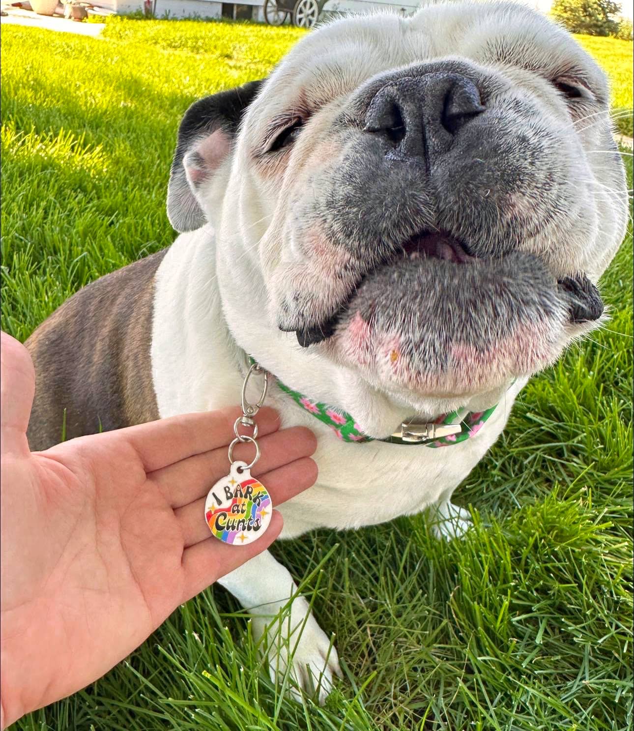 Funny Dog Charm & Pet ID Tag - I Bark at Cunts *Rainbow: Small 1" / Collar Charm (Blank Backside)