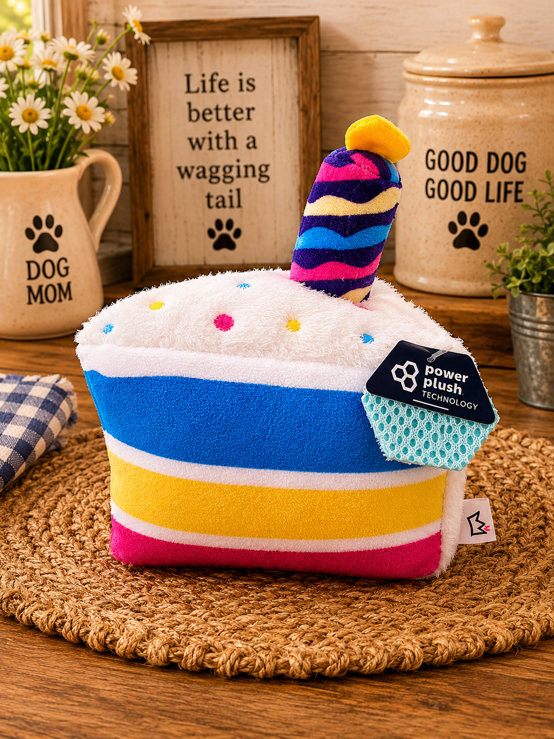 Small Birthday Cake Plush Dog Toy