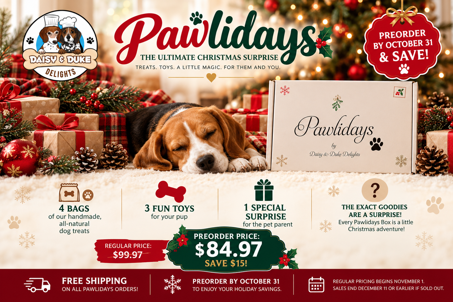 Pawlidays Box β The Ultimate Christmas Surprise for Your Pup! ππΎ - Pre-order