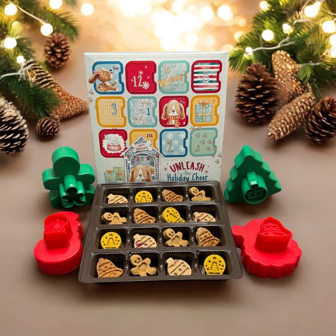 Pre Order Holiday Advent Calendar