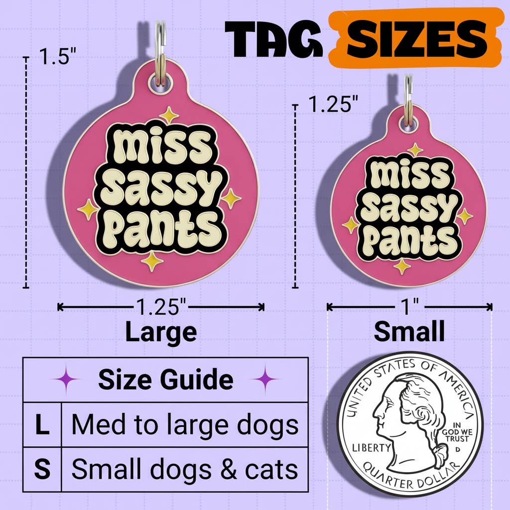 Funny Dog Charm & Pet ID Tag Accessory - Miss Sassy Pants: Collar Charm (blank backside) / Large 1.25"