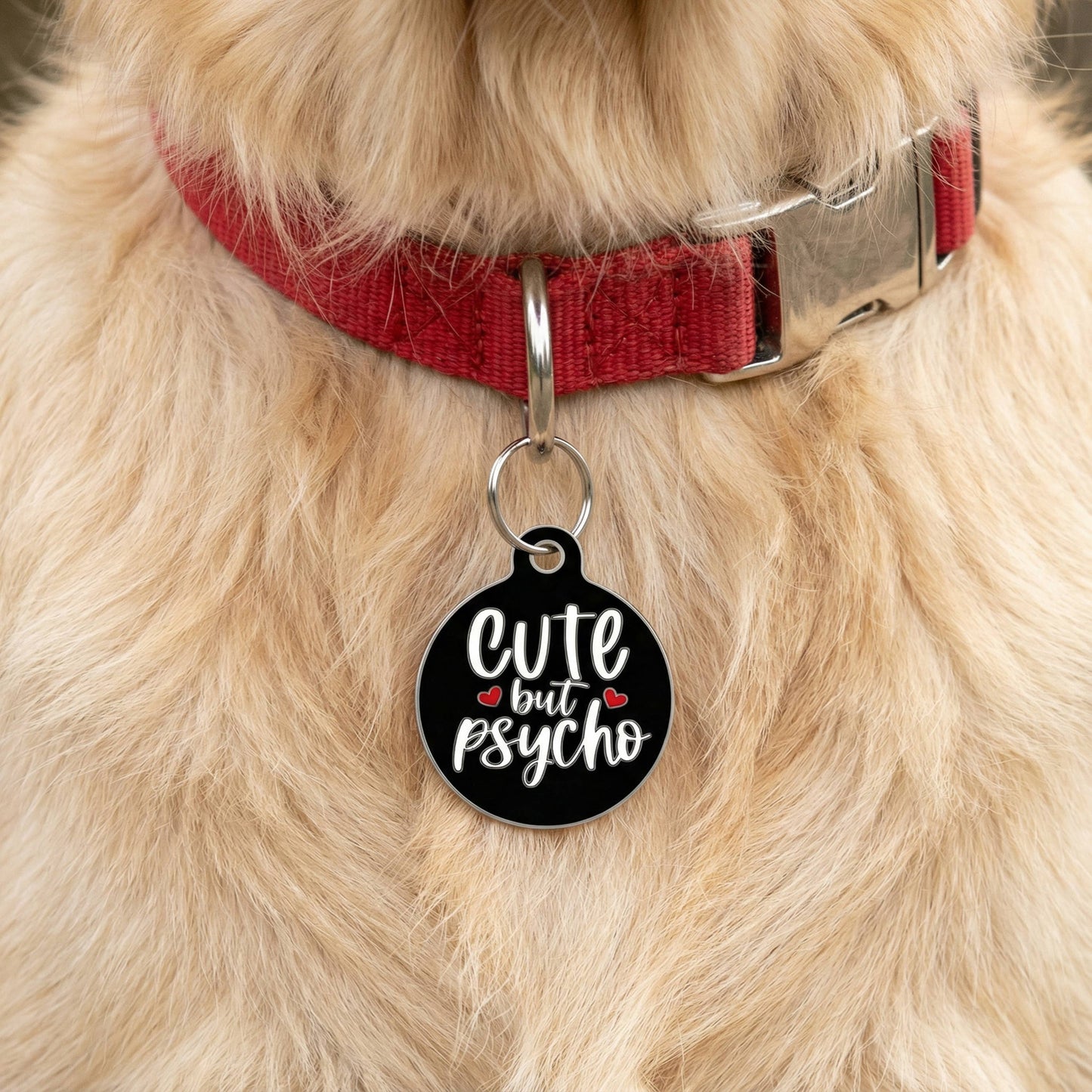 Funny Dog Collar Charm & Pet ID Tag - Cute but Psycho *Black: Collar Charm (no QR code) / Large 1.25"