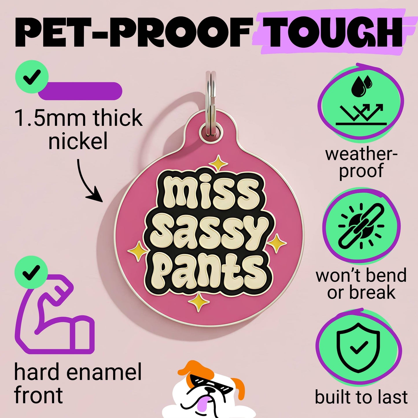 Funny Dog Charm & Pet ID Tag Accessory - Miss Sassy Pants: Collar Charm (blank backside) / Large 1.25"