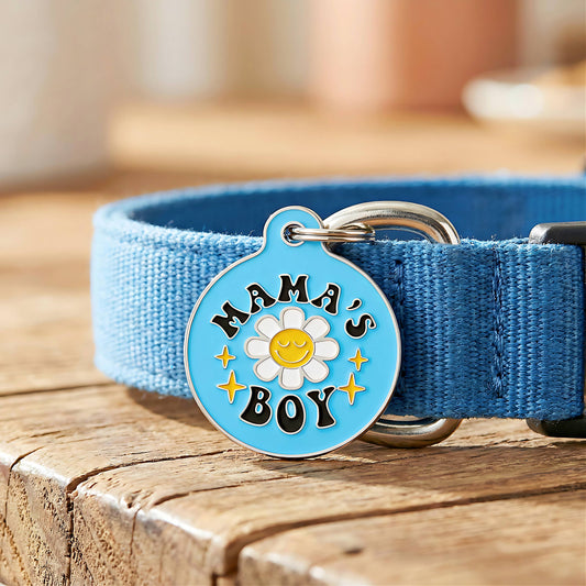 Cute Pet Tag & Dog Collar Charm - Mama's Boy *Blue: Collar Charm (blank backside) / Small 1"