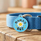 Cute Pet Tag & Dog Collar Charm - Mama's Boy *Blue: Collar Charm (blank backside) / Small 1"