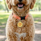 Cute Dog Charm & Pet ID Tag - Pup Cup Addict: Collar Charm (blank backside) / Large 1.25"