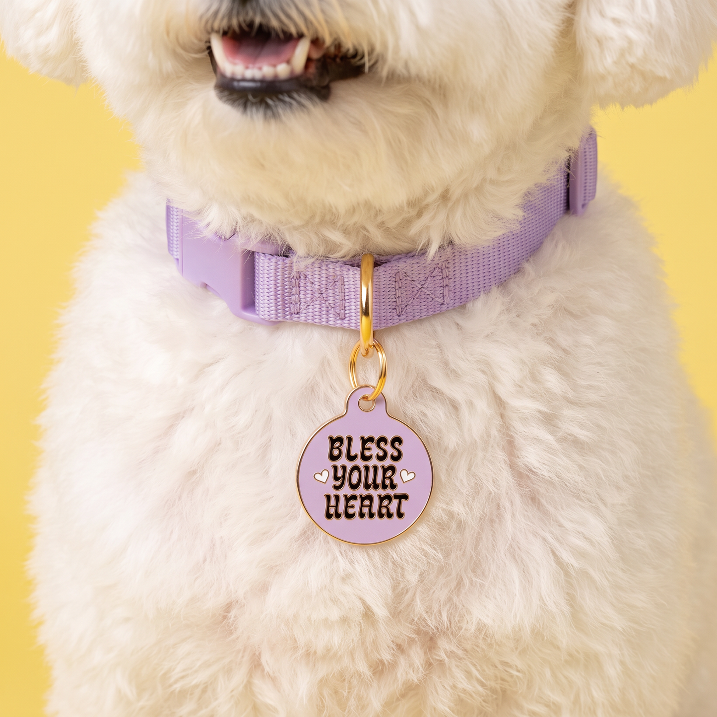 Sassy Dog Tag Charm & Pet ID Tag - Bless Your Heart: Small / Charm