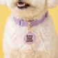 Sassy Dog Tag Charm & Pet ID Tag - Bless Your Heart: Small / Charm