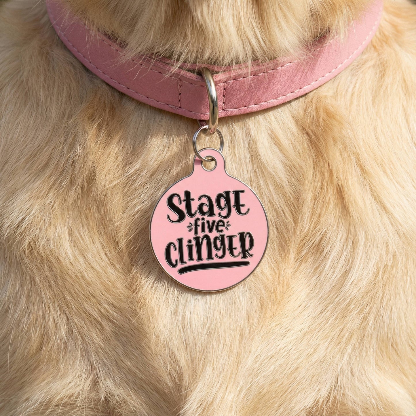 Funny Dog Tag & Pet ID Collar Charm - Stage 5 Clinger *Pink: Large / Charm (backside blank)
