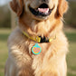 Funny Dog Charm & Pet ID Tag - Friendly Little F*cker: Collar Charm (blank backside) / Small 1"