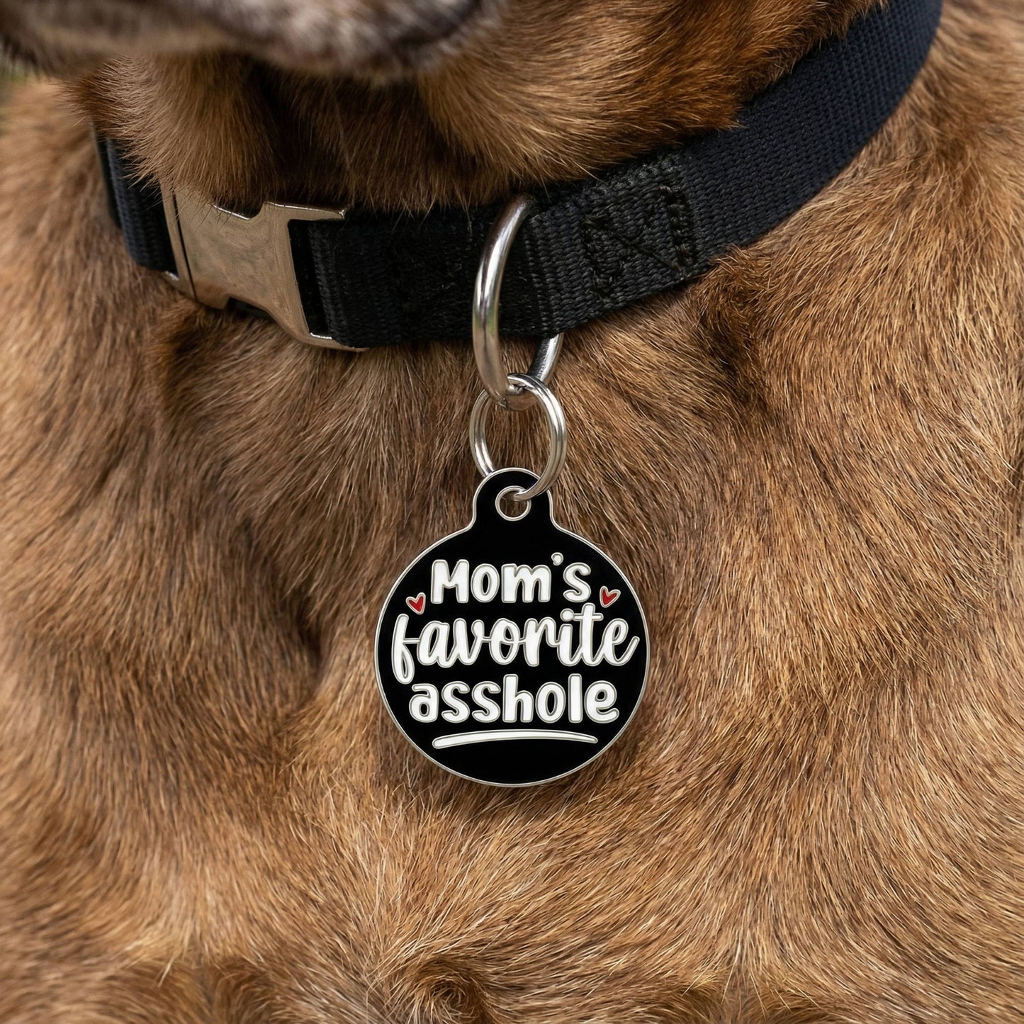 Funny Dog Charm & Pet ID Tag - Mom's Favorite Asshole: Collar Charm (blank backside) / Small 1"