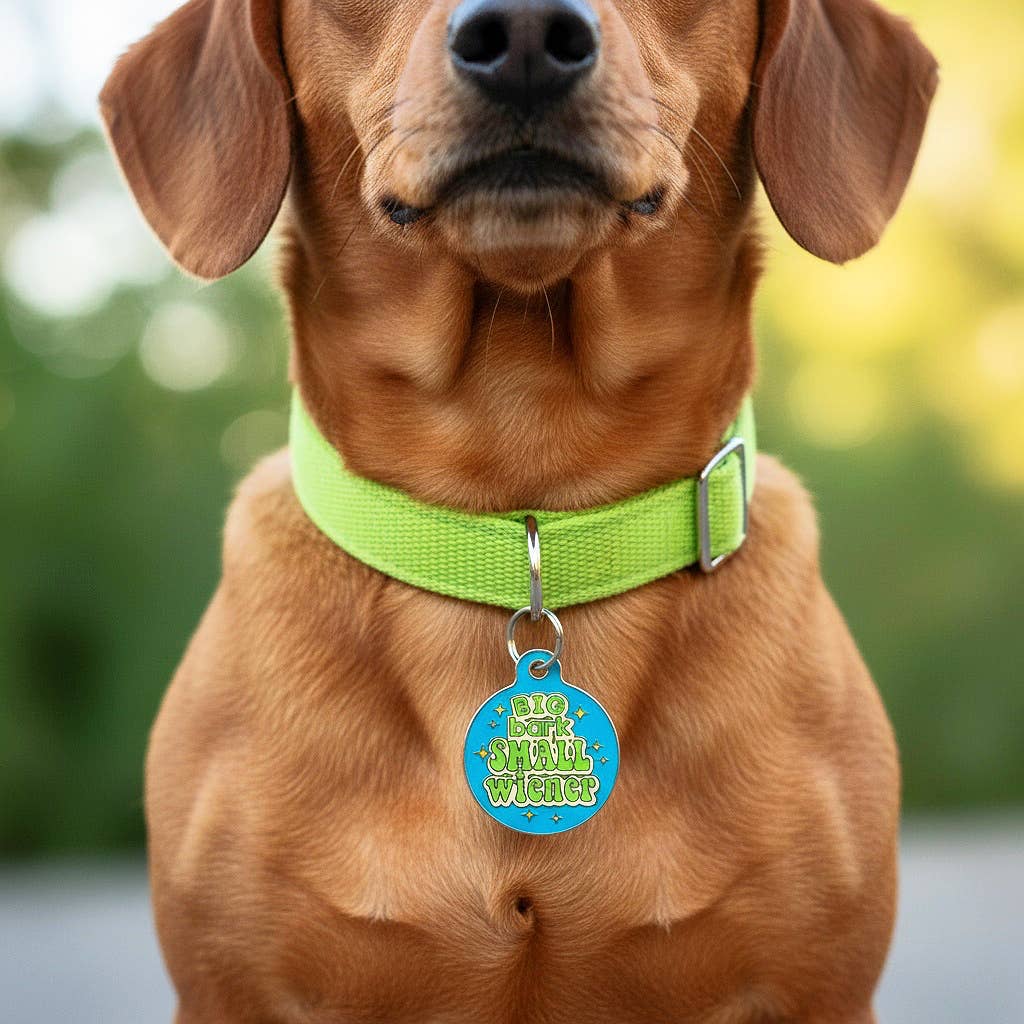 Funny Dog Charm & Pet ID Tag - Big Bark Small Wiener: Collar Charm (blank backside) / Small 1"