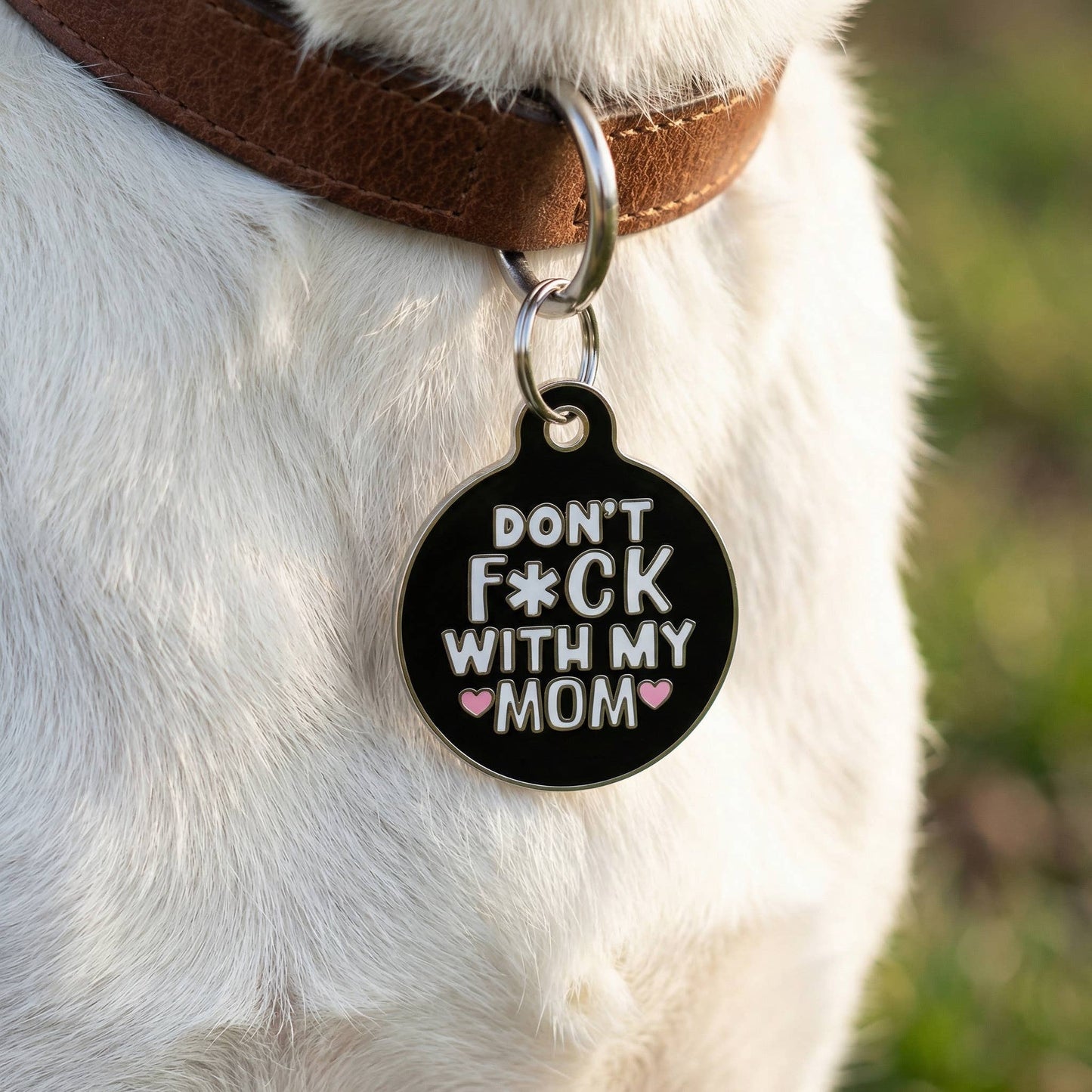 Funny Dog Charm & Pet ID Tag - Don't Fck with my Mom: Collar Charm (blank backside) / Small 1"