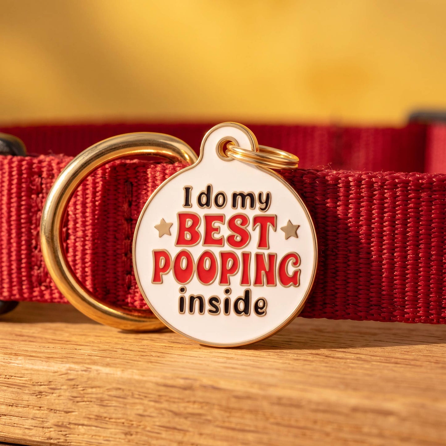 Funny Dog Tag Charm & Pet ID Tag - Best Pooping Inside: Small / Charm