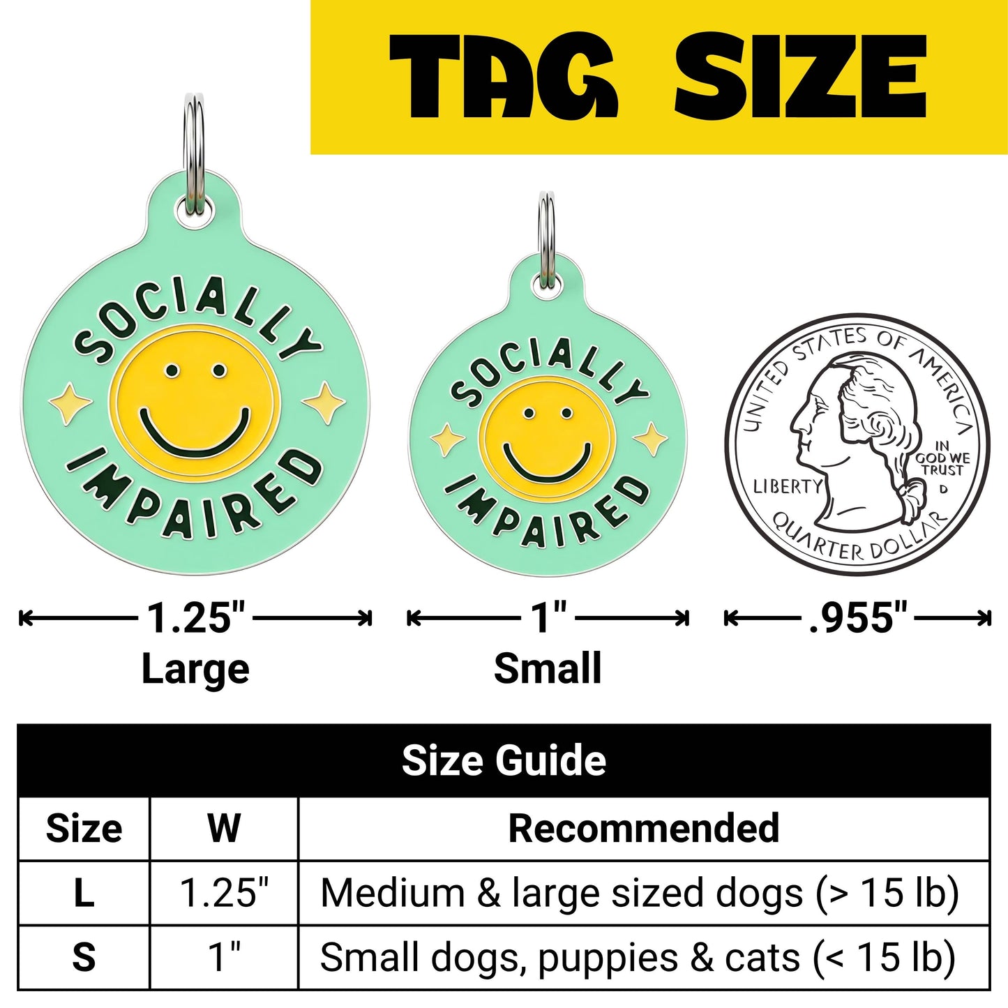 Funny Dog Charm & Pet ID Tag - Socially Impaired *Green: Large / Charm (Blank)