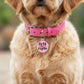 Funny Dog Charm & Pet ID Tag - Cute but Psycho *Pink: Collar Charm (no QR code) / Large 1.25"