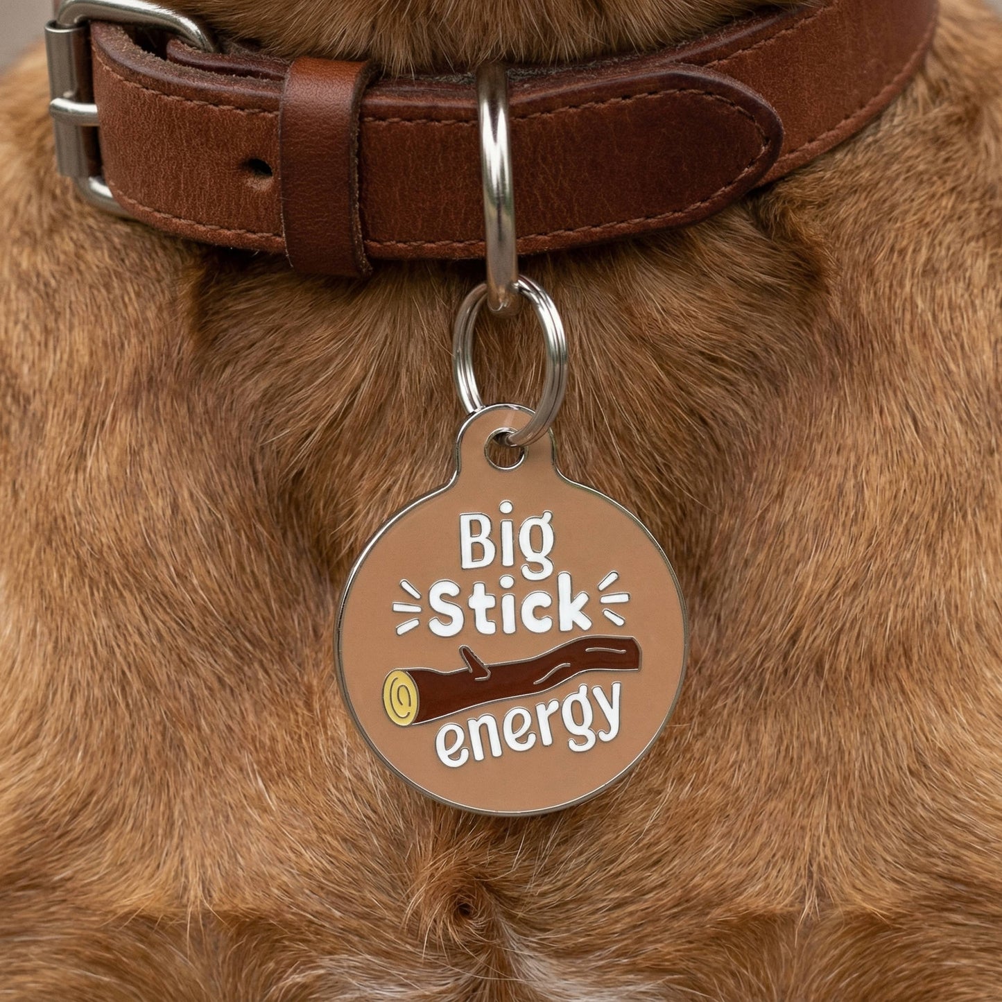 Funny Dog Charm & Pet ID Tag - Big Sticker Energy : Small / Collar Charm (blank backside)