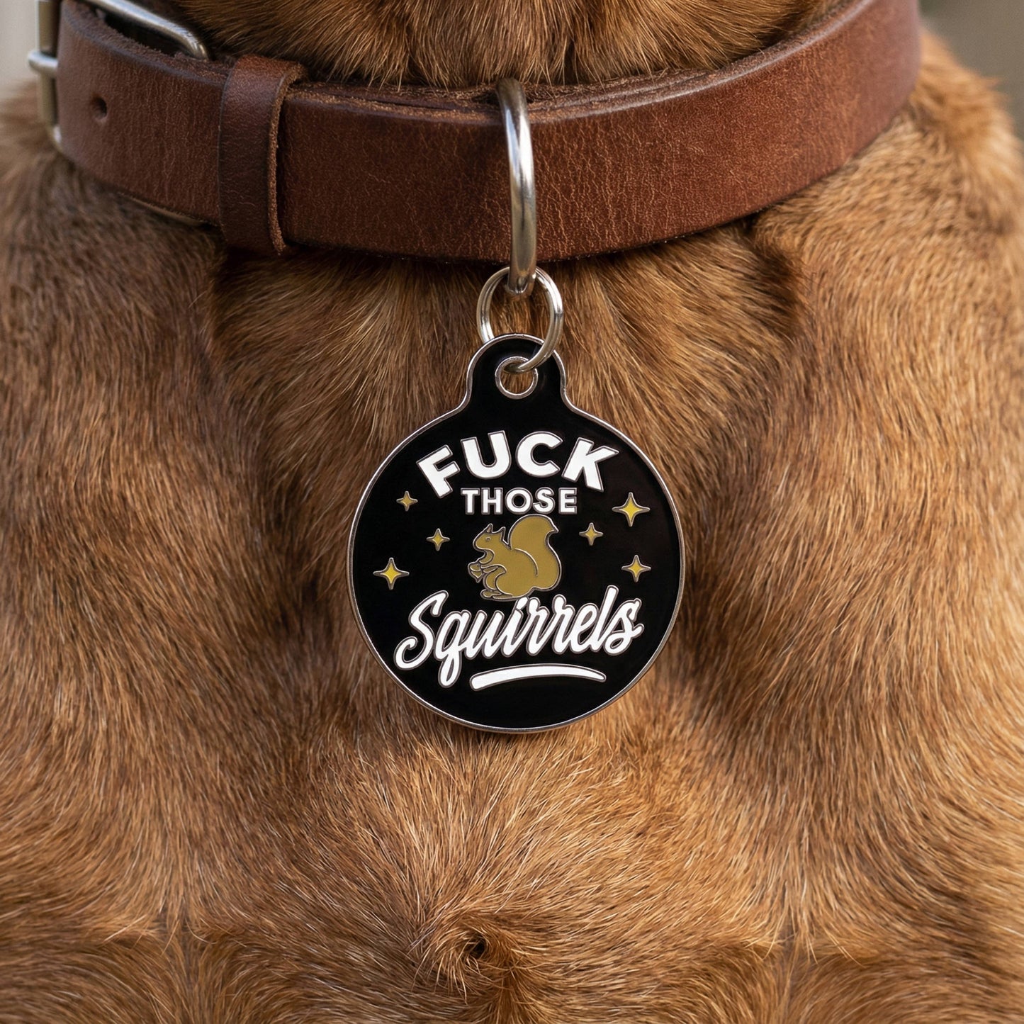 Funny Dog Charm & Pet ID Tag - Fuck Those Squirrels: Large / Collar Charm (backside blank)