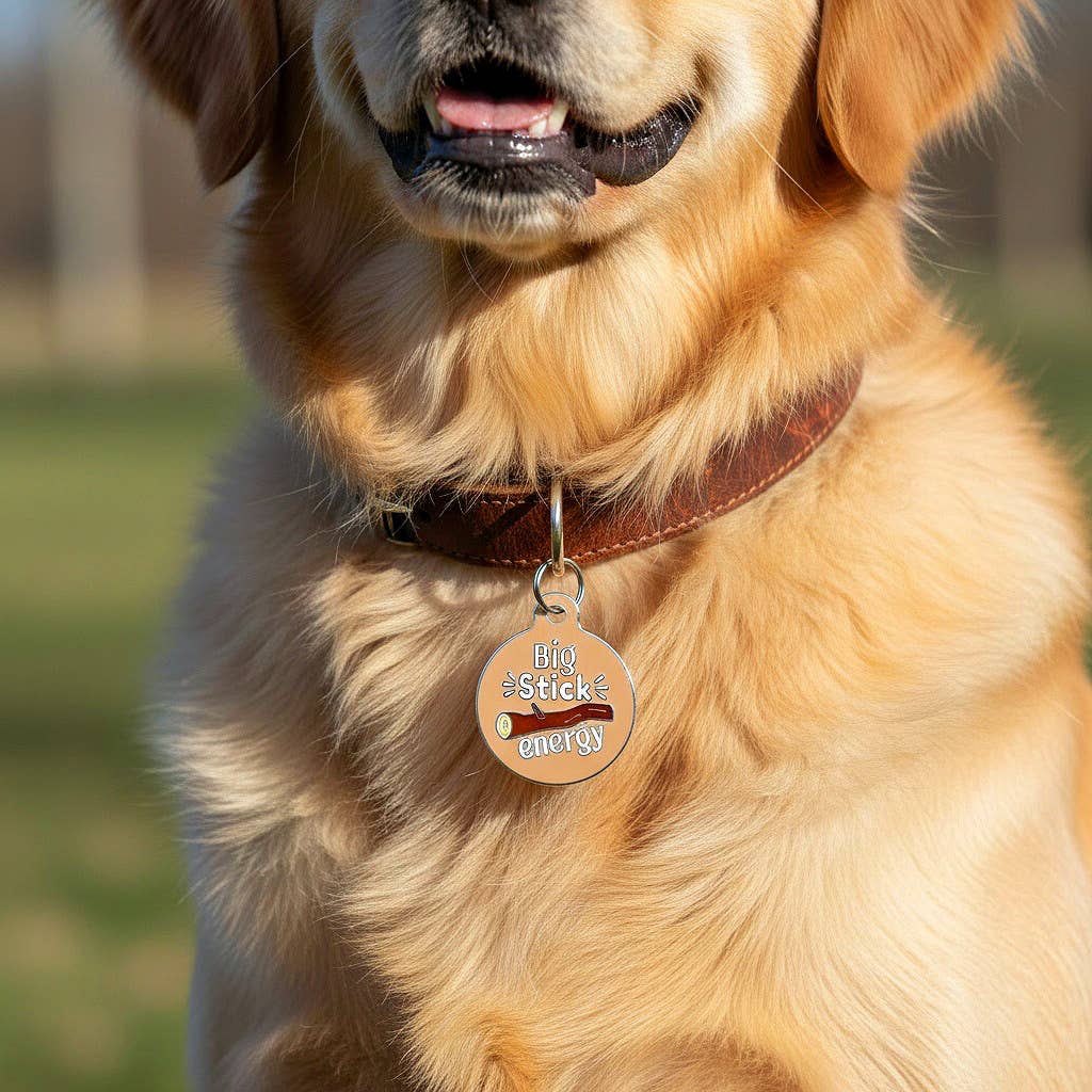 Funny Dog Charm & Pet ID Tag - Big Sticker Energy : Small / Collar Charm (blank backside)