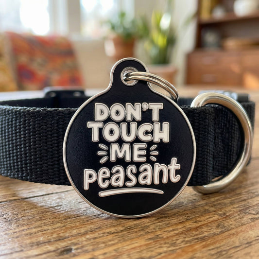 Funny Dog Tag Collar Charm & Pet ID - Don't Touch Me Peasant: Collar Charm (Blank Backside) / Small 1"