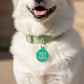 Funny Dog Charm & Pet ID Tag - I Identify as Adorable: Collar Charm (blank backside) / Large 1.25"