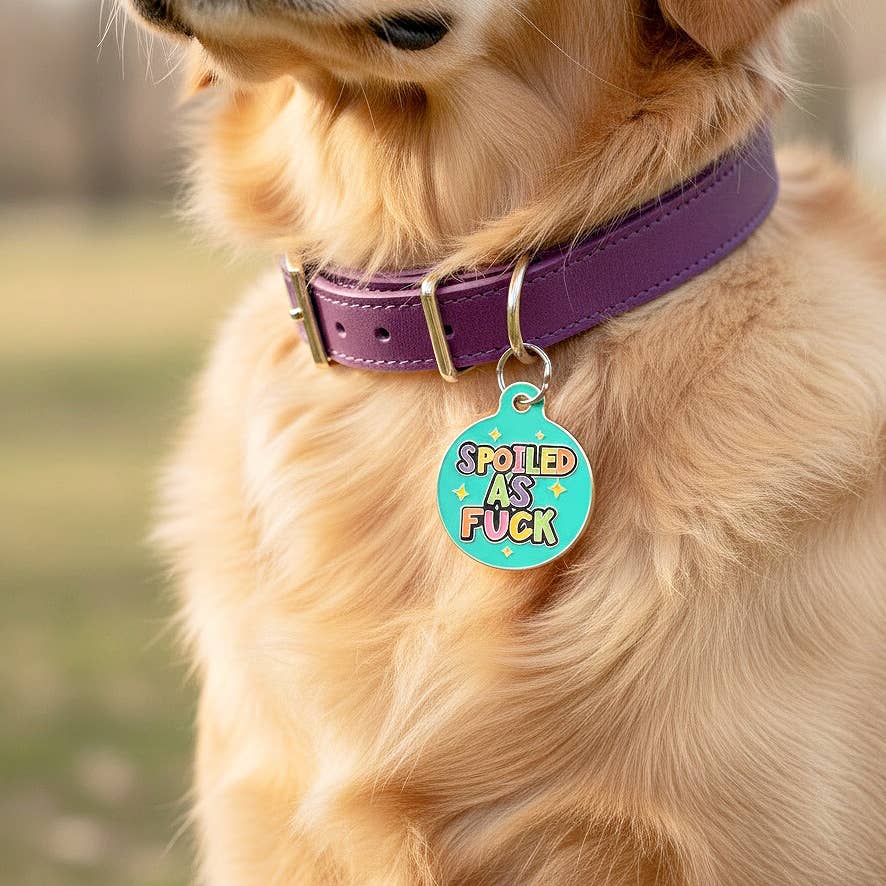 Funny Dog ID Tag & Pet Accessory - Spoiled As Fuck: Blank / Small