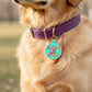 Funny Dog ID Tag & Pet Accessory - Spoiled As Fuck: Blank / Small