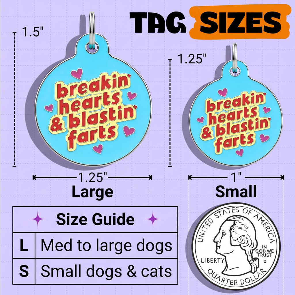 Funny Dog Charm & Pet ID Tag - Breakin Hearts, Blastin Farts: Collar Charm (blank backside) / Small 1"
