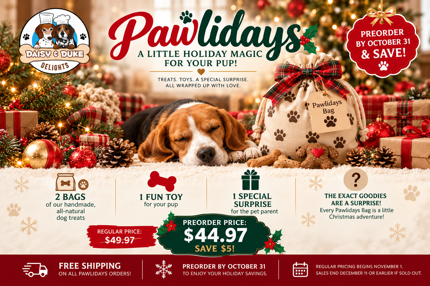 Pawlidays Bag – A Little Holiday Magic for Your Pup! 🎄🐾  - PRE ORDER