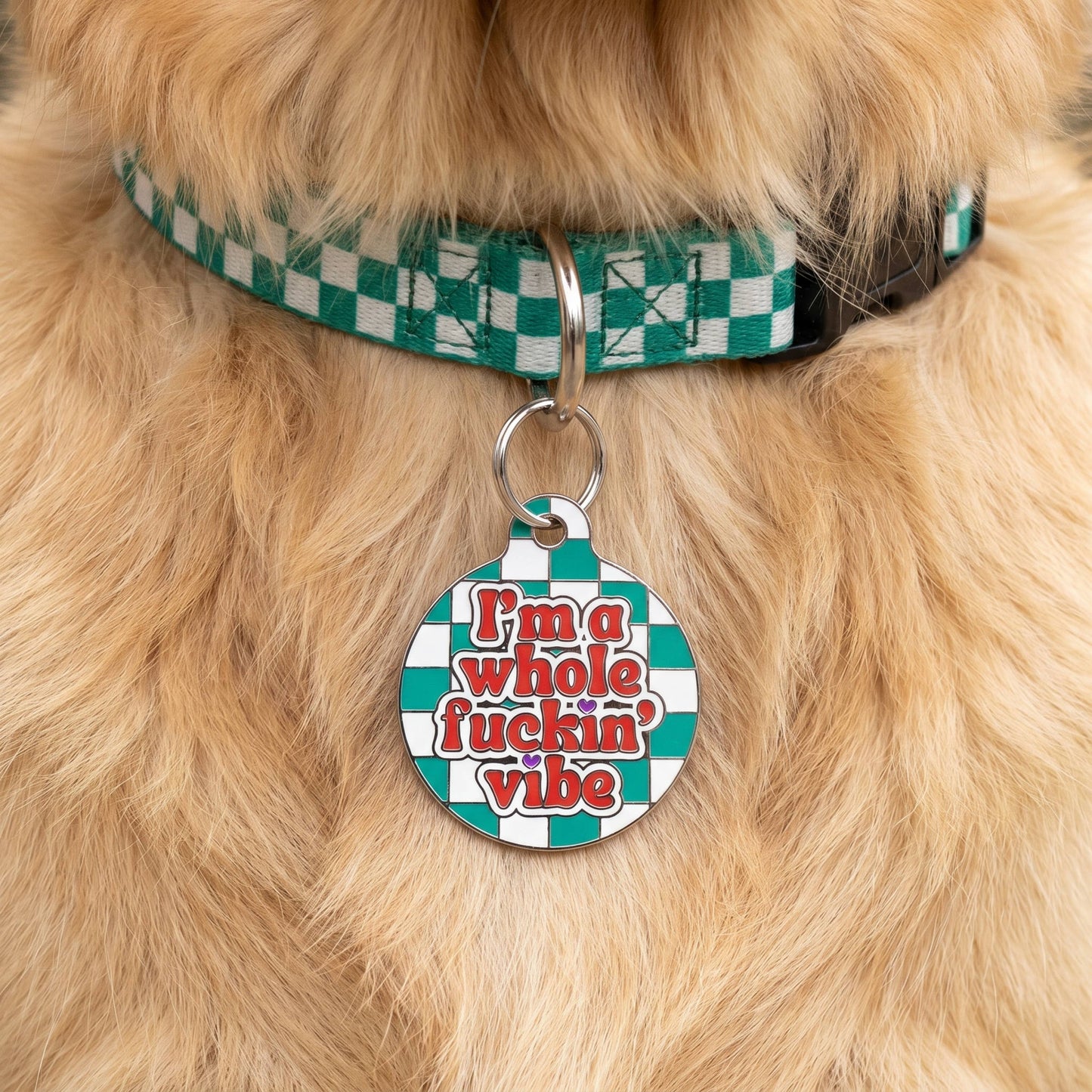 Funny Dog Charm & Pet ID Tag - I'm a Whole Vibe: Small / Charm (Blank)