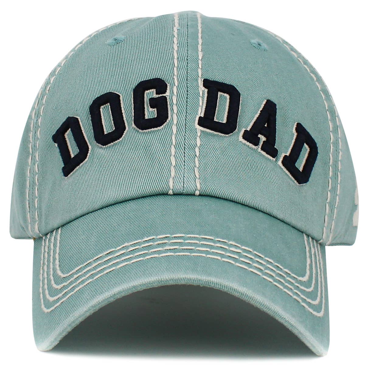 Dog Dad Washed Vintage Ballcap: TIM
