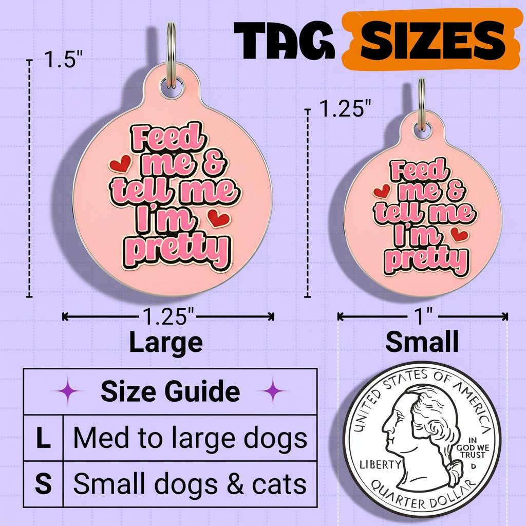 Cute Pet ID Tag & Dog Collar Charm - Tell Me I'm Pretty: Collar Charm (blank backside) / Small 1"