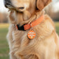 Cute Dog Charm & Pet ID Tag - Cheese Tax Collector: Collar Charm (blank backside) / Small 1"