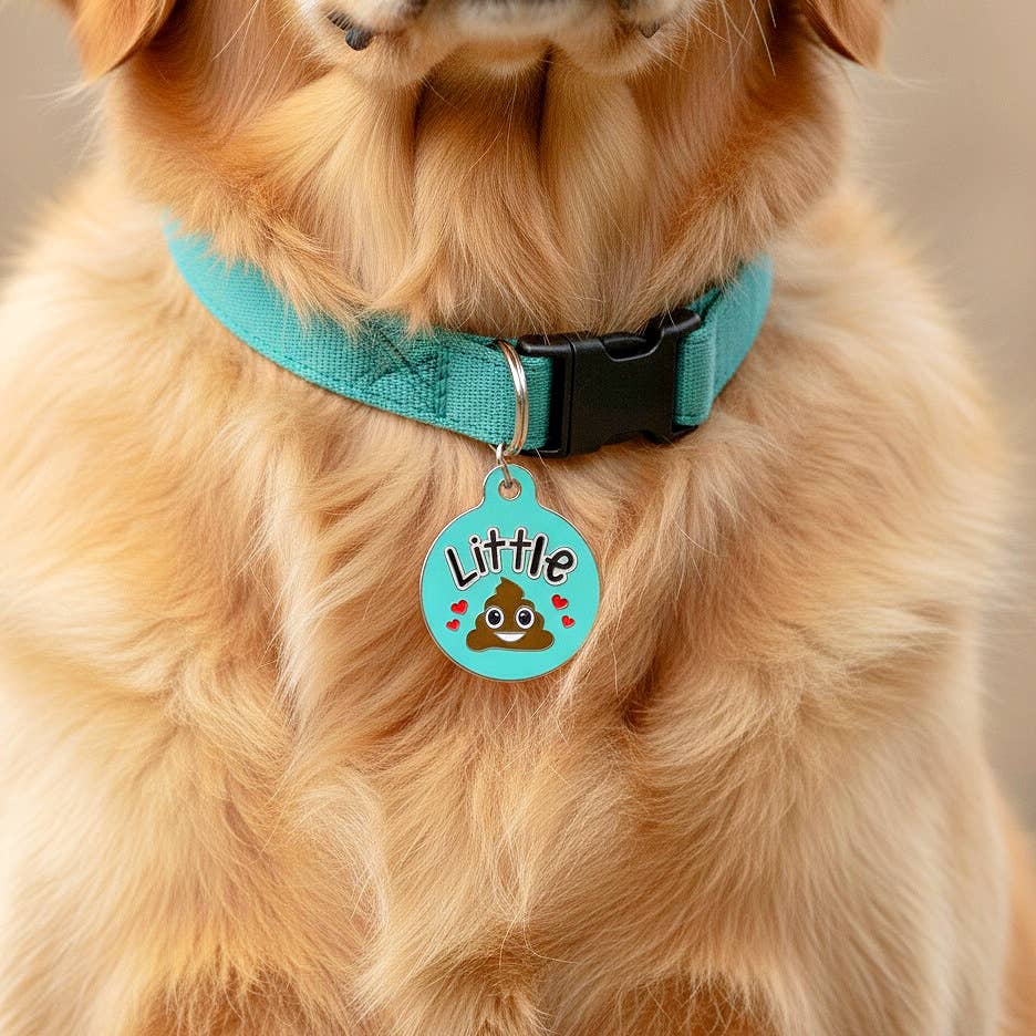 Funny Pet ID Tag & Dog Charm Accessory - Little Shit *Teal: Collar Charm (blank backside) / Small 1"