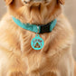 Funny Pet ID Tag & Dog Charm Accessory - Little Shit *Teal: Collar Charm (blank backside) / Small 1"