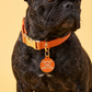 Funny Dog Tag Charm & Pet ID Tag - I Smell Like Fritos: Large / Charm