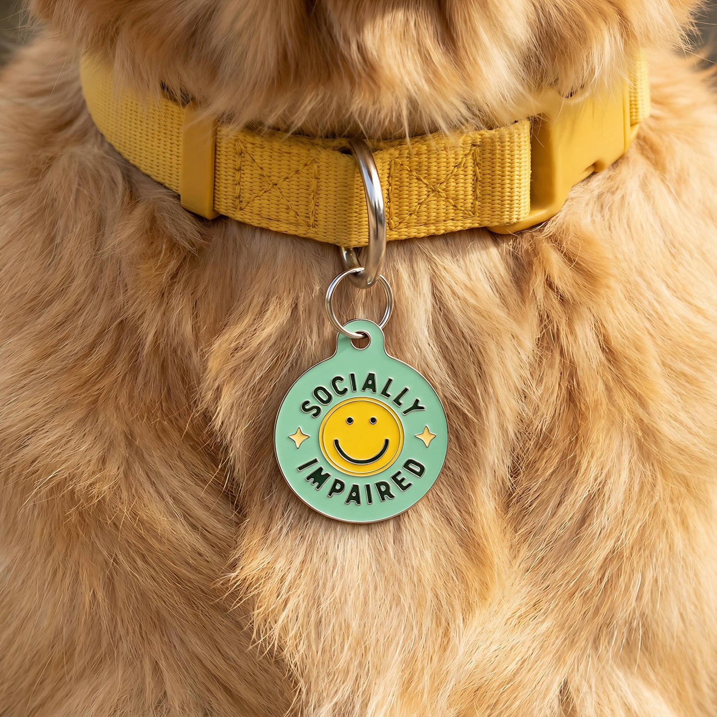 Funny Dog Charm & Pet ID Tag - Socially Impaired *Green: Large / Charm (Blank)