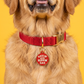 Funny Dog Tag Charm & Pet ID - Haulin Ass Ripping Gas: Small / Charm