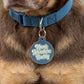 Cute Pet Tag & Dog Collar Charm - Adventure Buddy: Small / Collar Charm (blank backside)