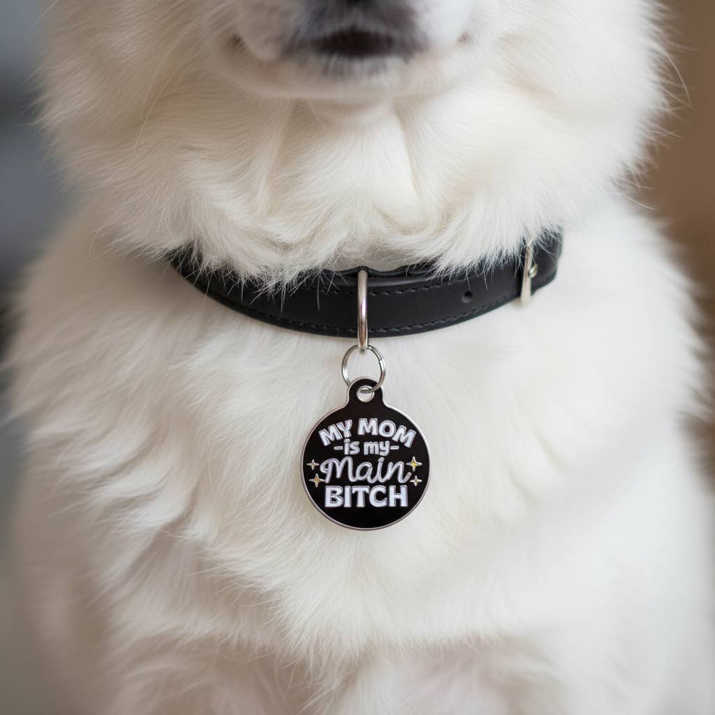Funny Dog Tag Collar Charm & Pet ID - Mom is my Main Bitch: Small / Collar Charm (Blank Backside)