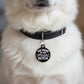 Funny Dog Tag Collar Charm & Pet ID - Mom is my Main Bitch: Small / Collar Charm (Blank Backside)