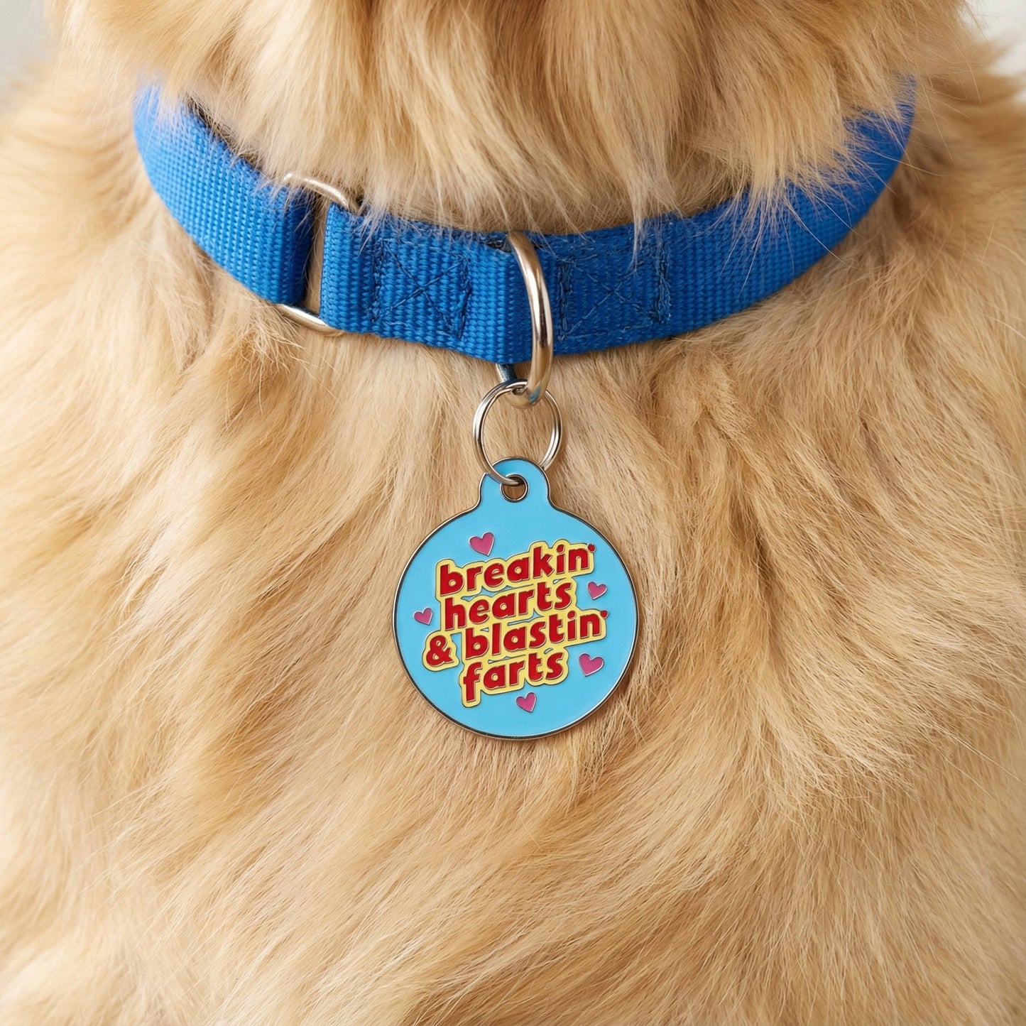 Funny Dog Charm & Pet ID Tag - Breakin Hearts, Blastin Farts: Collar Charm (blank backside) / Small 1"