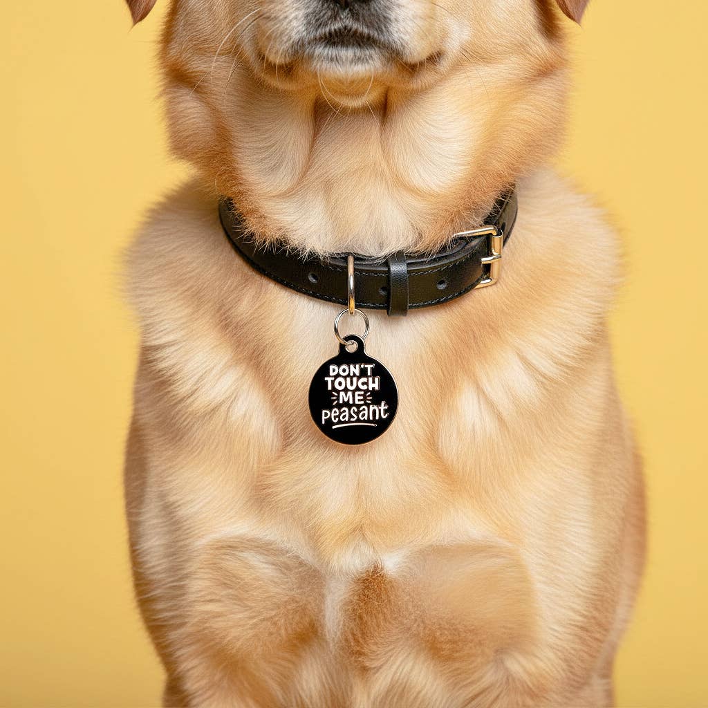 Funny Dog Tag Collar Charm & Pet ID - Don't Touch Me Peasant: Collar Charm (Blank Backside) / Small 1"