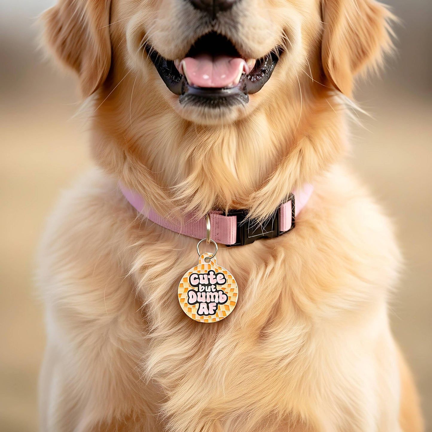 Funny Dog Tag Charm & Pet ID Accessory - Cute but Dumb AF: Collar Charm (blank backside) / Small 1"