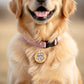 Funny Dog Tag Charm & Pet ID Accessory - Cute but Dumb AF: Collar Charm (blank backside) / Small 1"