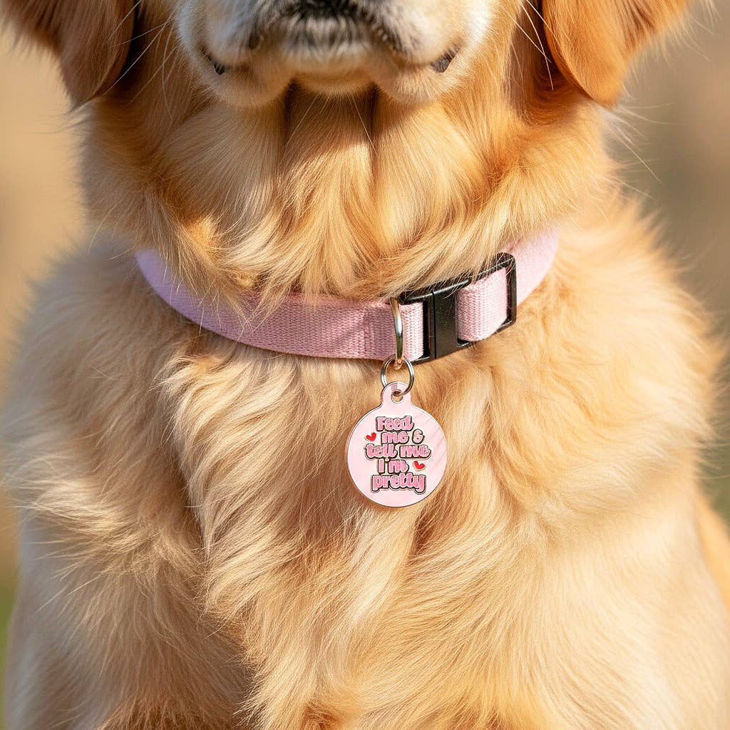 Cute Pet ID Tag & Dog Collar Charm - Tell Me I'm Pretty: Collar Charm (blank backside) / Small 1"