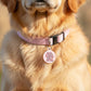 Cute Pet ID Tag & Dog Collar Charm - Tell Me I'm Pretty: Collar Charm (blank backside) / Small 1"