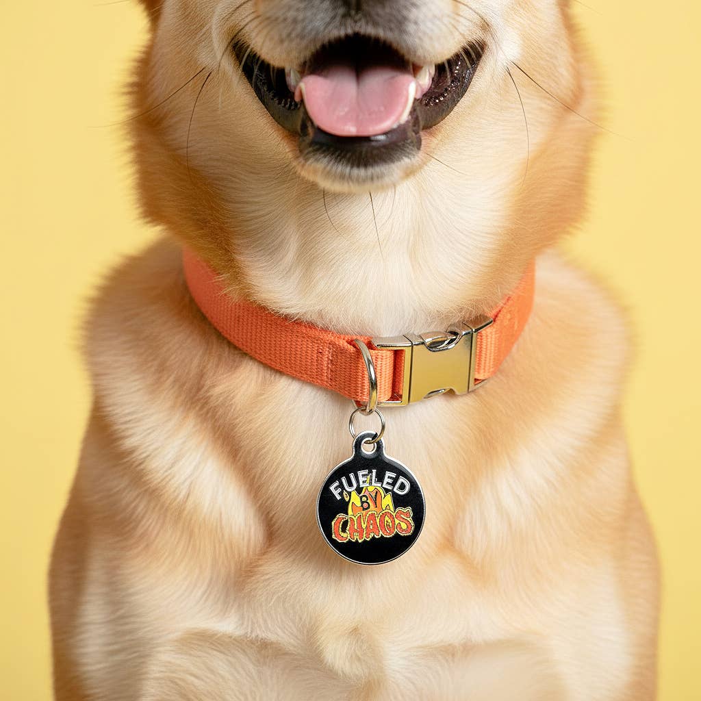 Funny Dog Charm & Pet ID Tag - Fueled by Chaos: Collar Charm (Blank Backside) / Small 1"